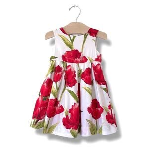 Baby Gap Girls Dress 18-24M White Red Tulip Floral Cotton Lined Tulle Party